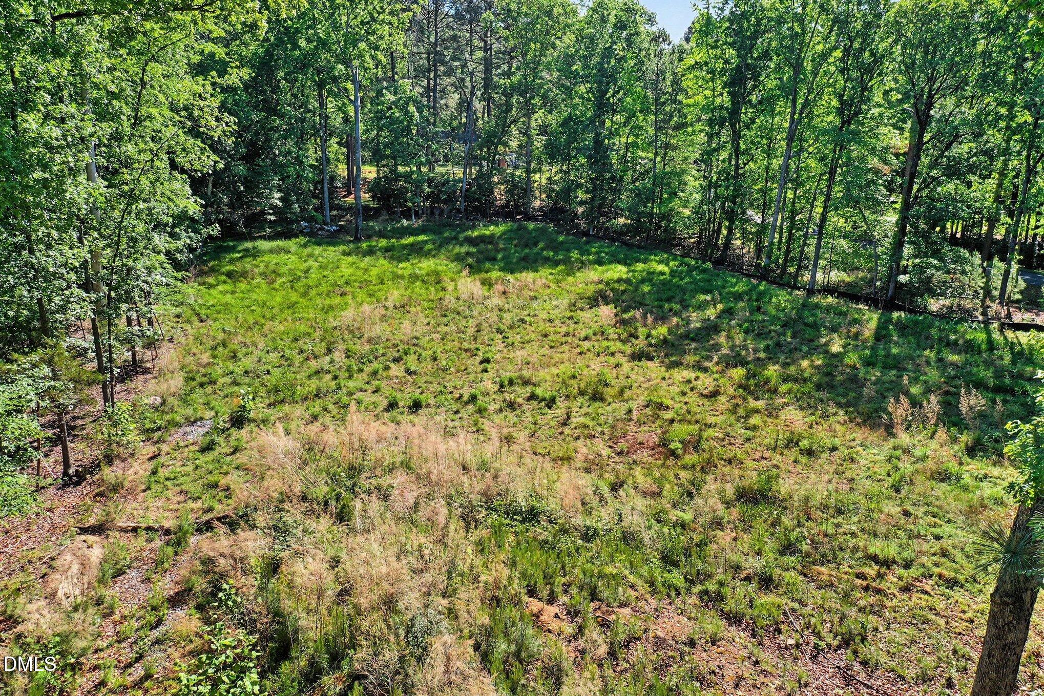 2116 Forest Ridge Place Durham, NC 27705 - Photo 13 of 19 a view of yard with green space