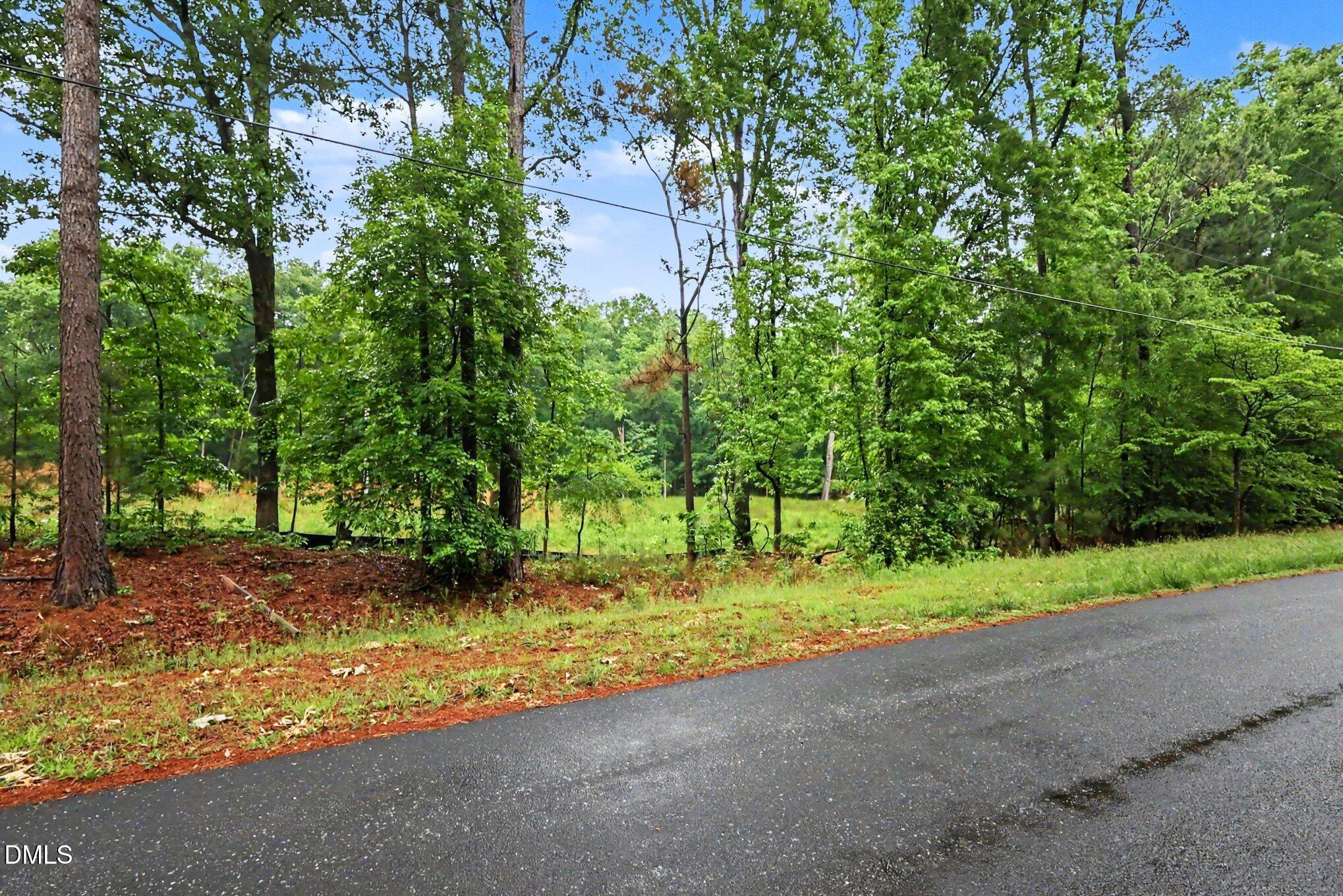 2116 Forest Ridge Place Durham, NC 27705 - Photo 2 of 19 a view of a yard with plants and trees