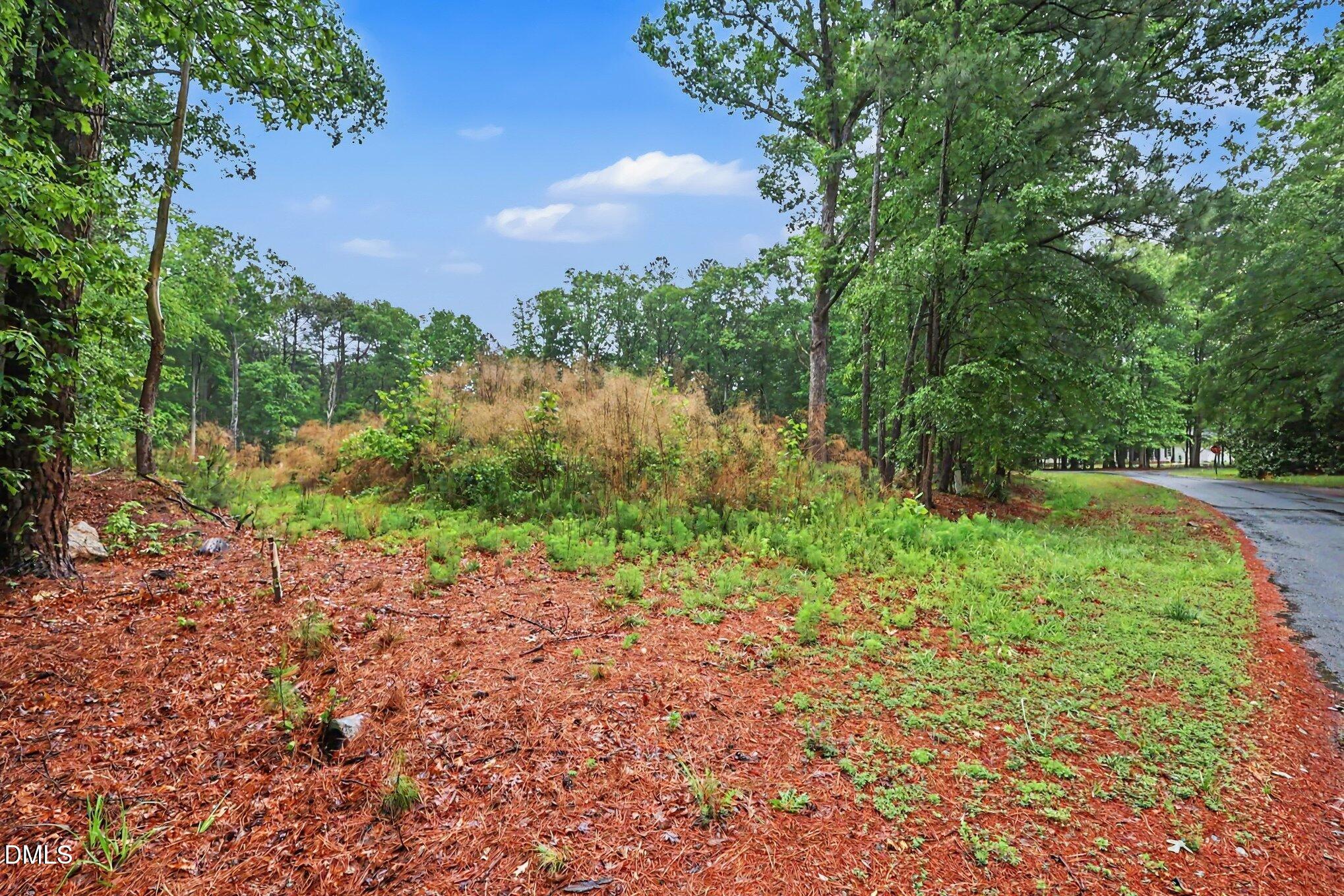 2116 Forest Ridge Place Durham, NC 27705 - Photo 4 of 19 a view of a yard with plants and a bench