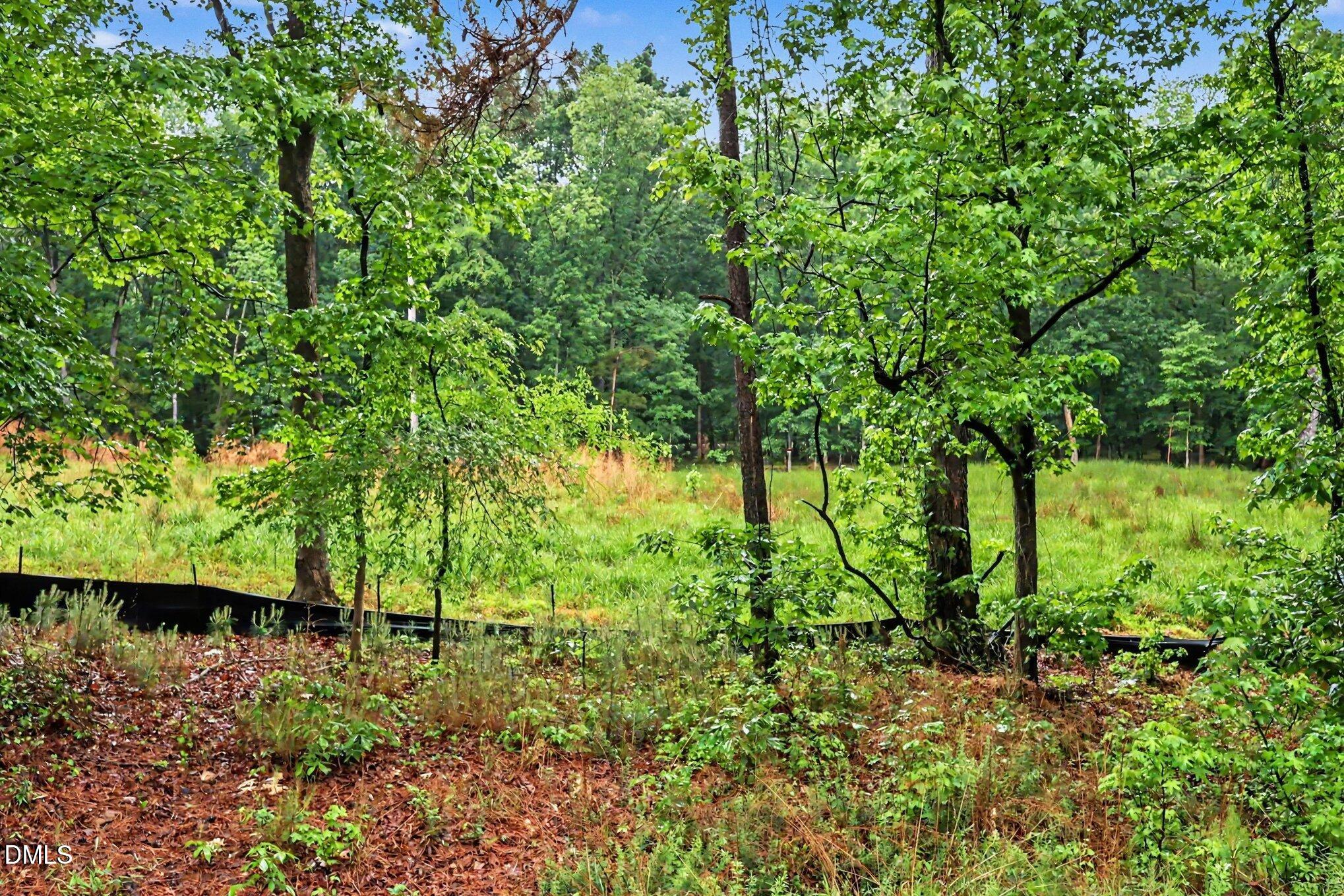 2116 Forest Ridge Place Durham, NC 27705 - Photo 5 of 19 a view of a garden