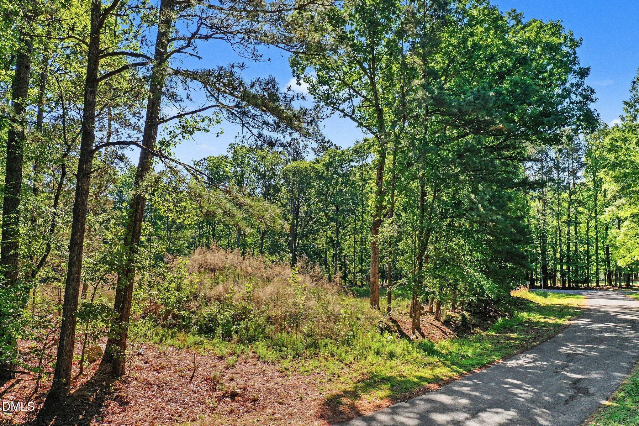 2116 Forest Ridge Place Durham, NC 27705 - Photo 6 of 19 a view of a yard with plants and large trees