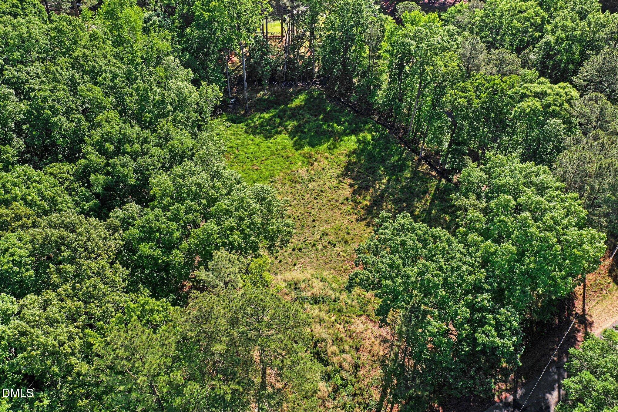 2116 Forest Ridge Place Durham, NC 27705 - Photo 7 of 19 a view of a lush green forest