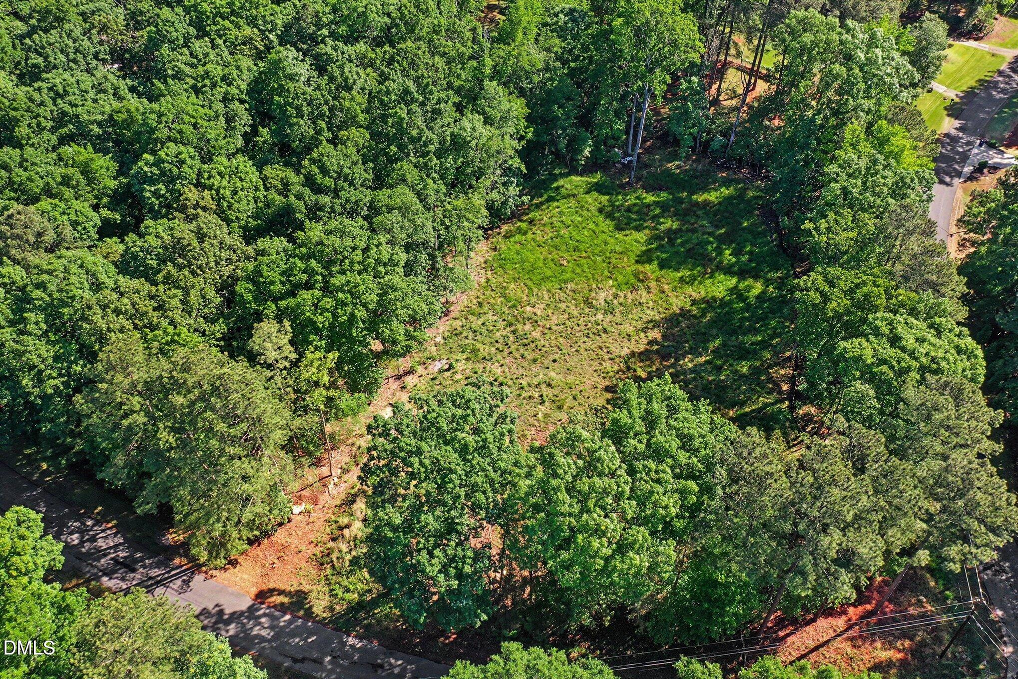 2116 Forest Ridge Place Durham, NC 27705 - Photo 9 of 19 a view of a lush green forest