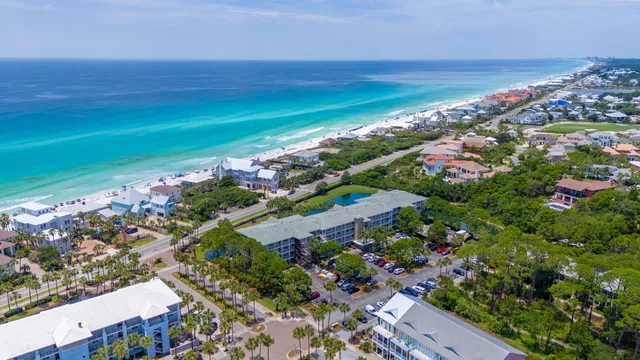 a view of a flower in a lot of flowers