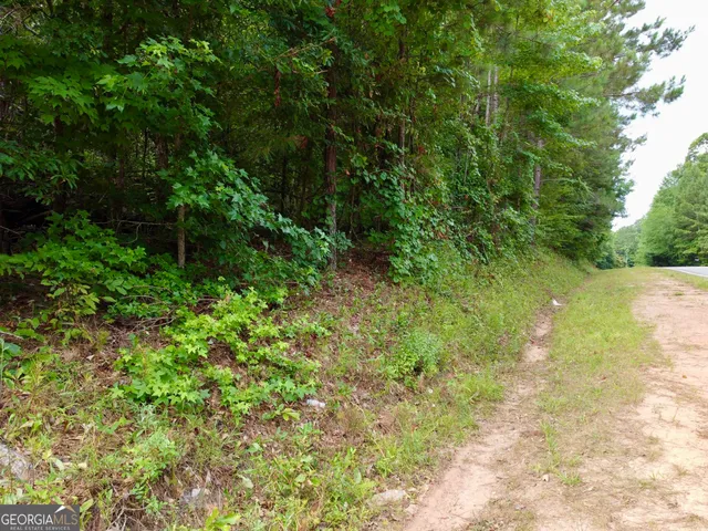 $110,000 | 0 Parker Road, Covington, GA 30014