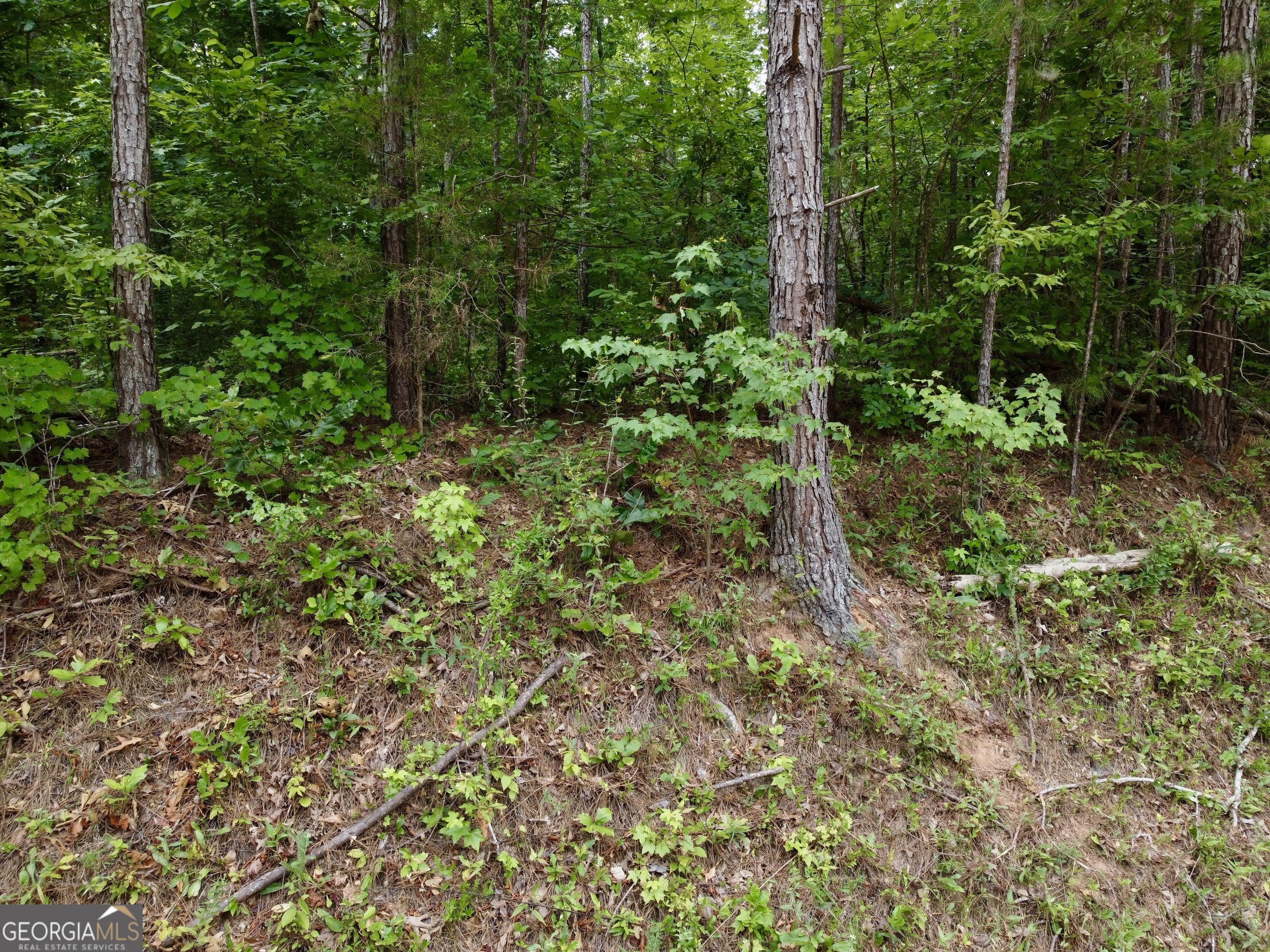 0 Parker Road Covington, GA 30014 - Photo 12 of 12