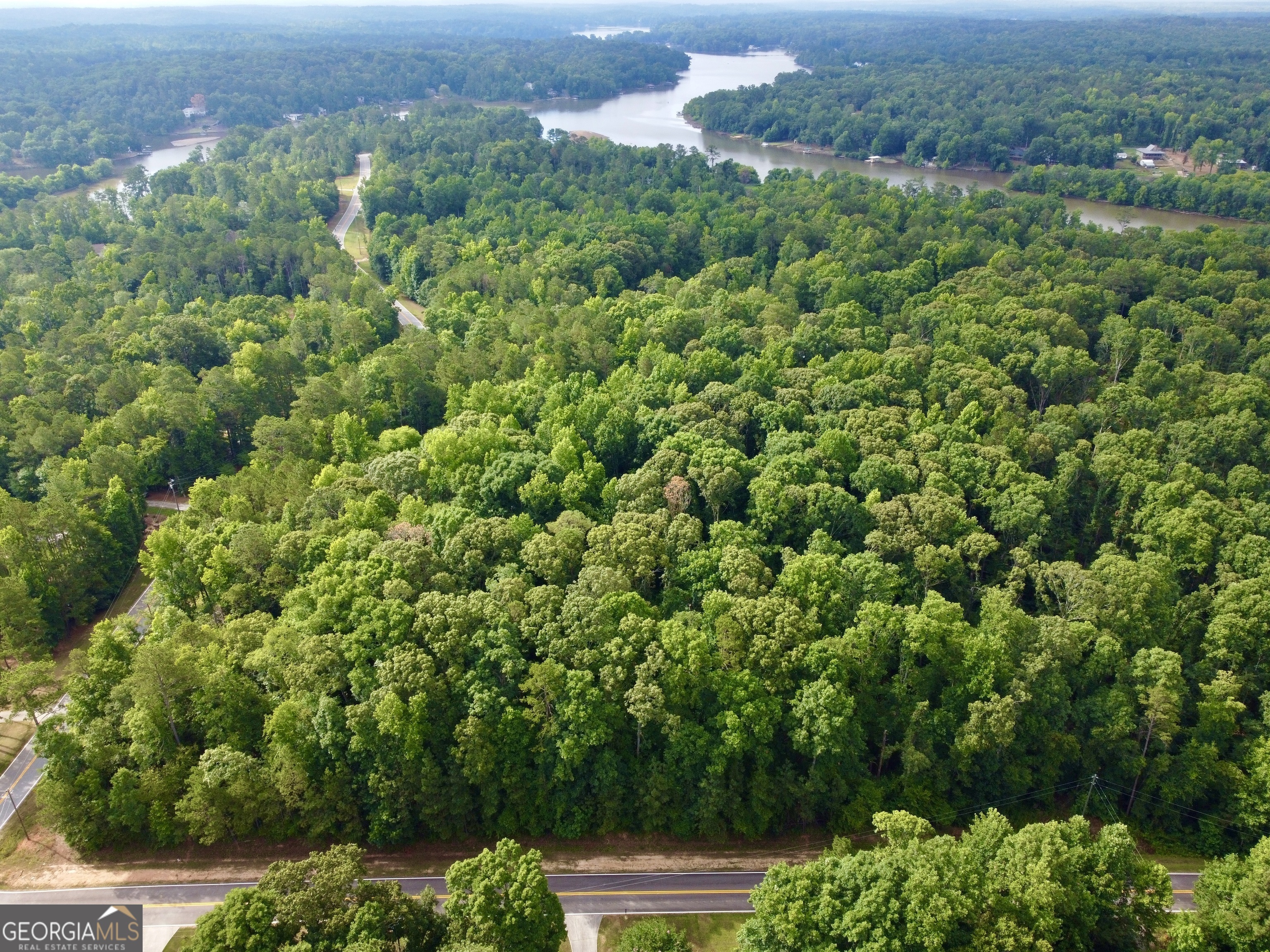 0 Parker Road Covington, GA 30014 - Photo 5 of 12