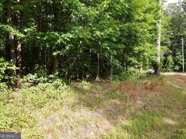 $110,000 | 0 Parker Road, Covington, GA 30014