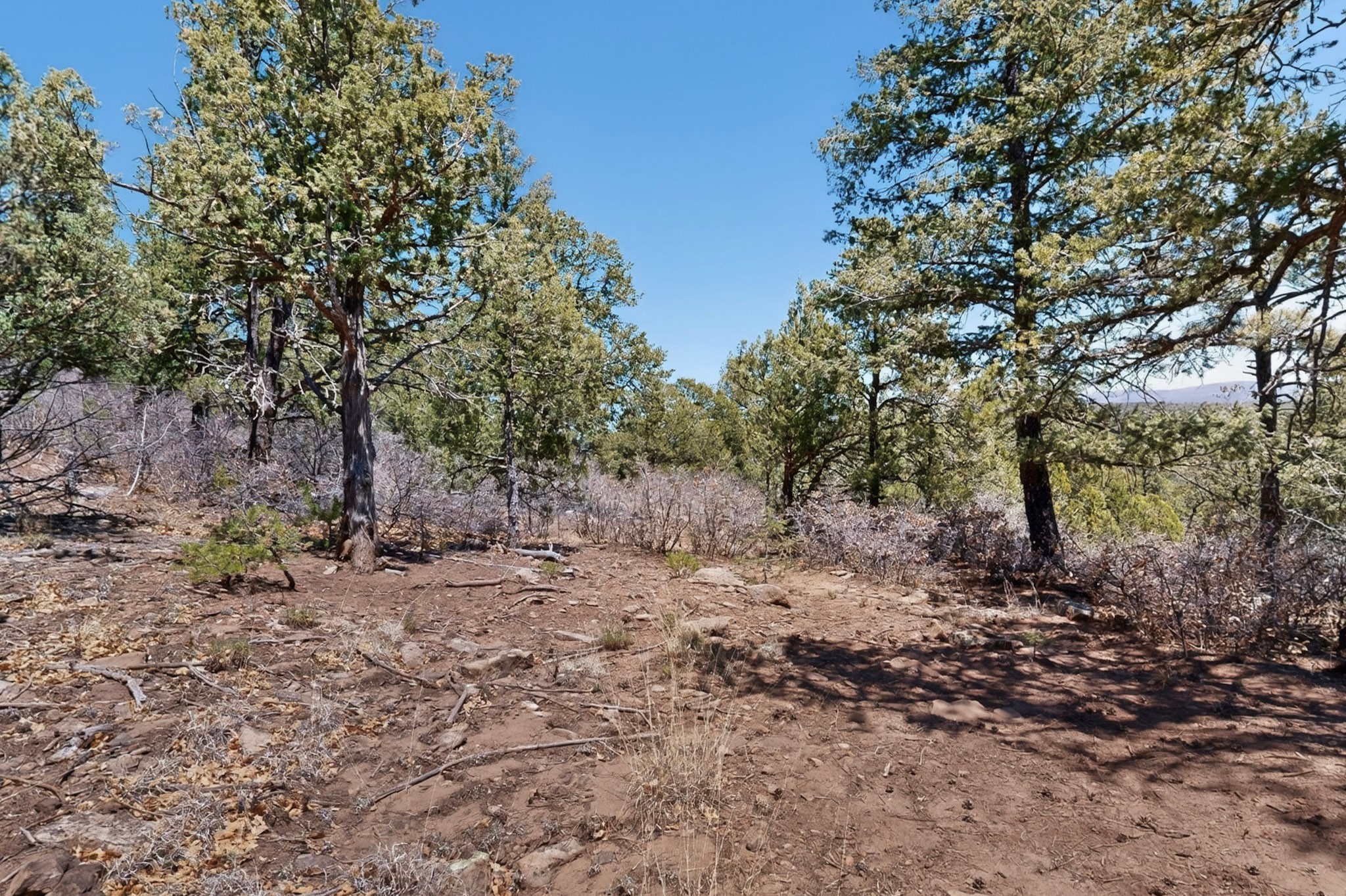 30 Monte La Cueva Road Glorieta, NM 87535 - Photo 25 of 91
