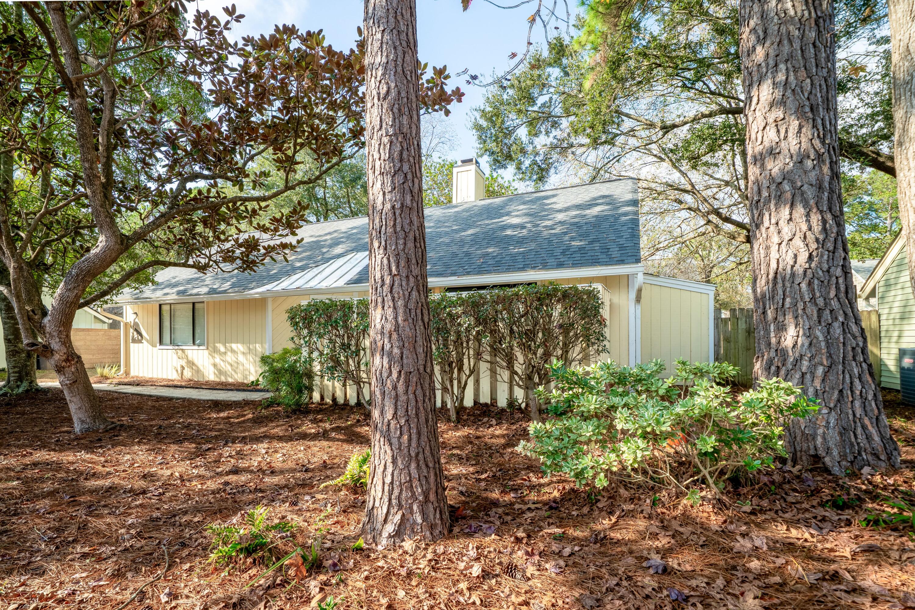 1116 Daffodil Lane Mount Pleasant, SC 29464 - Photo 3 of 39 3