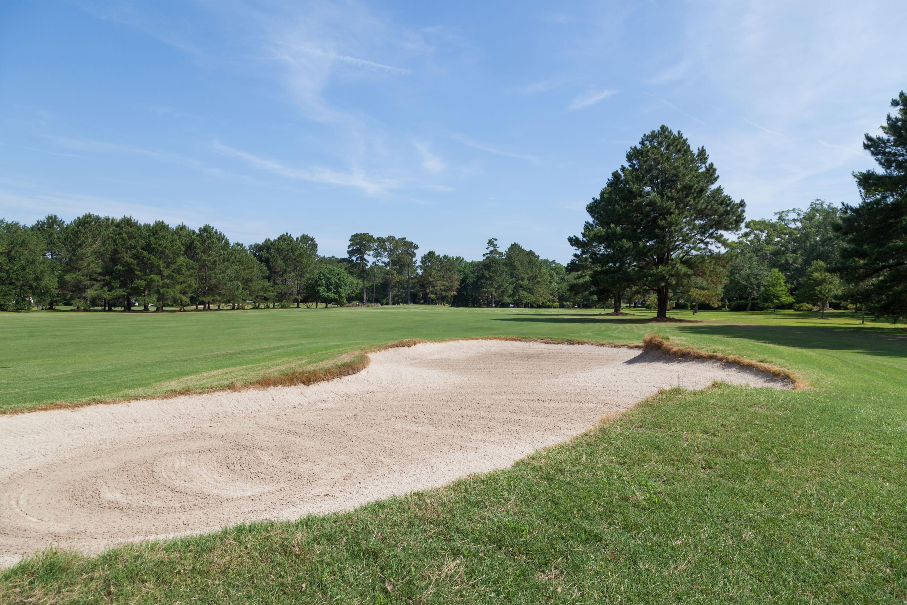 1116 Daffodil Lane Mount Pleasant, SC 29464 - Photo 37 of 39 37