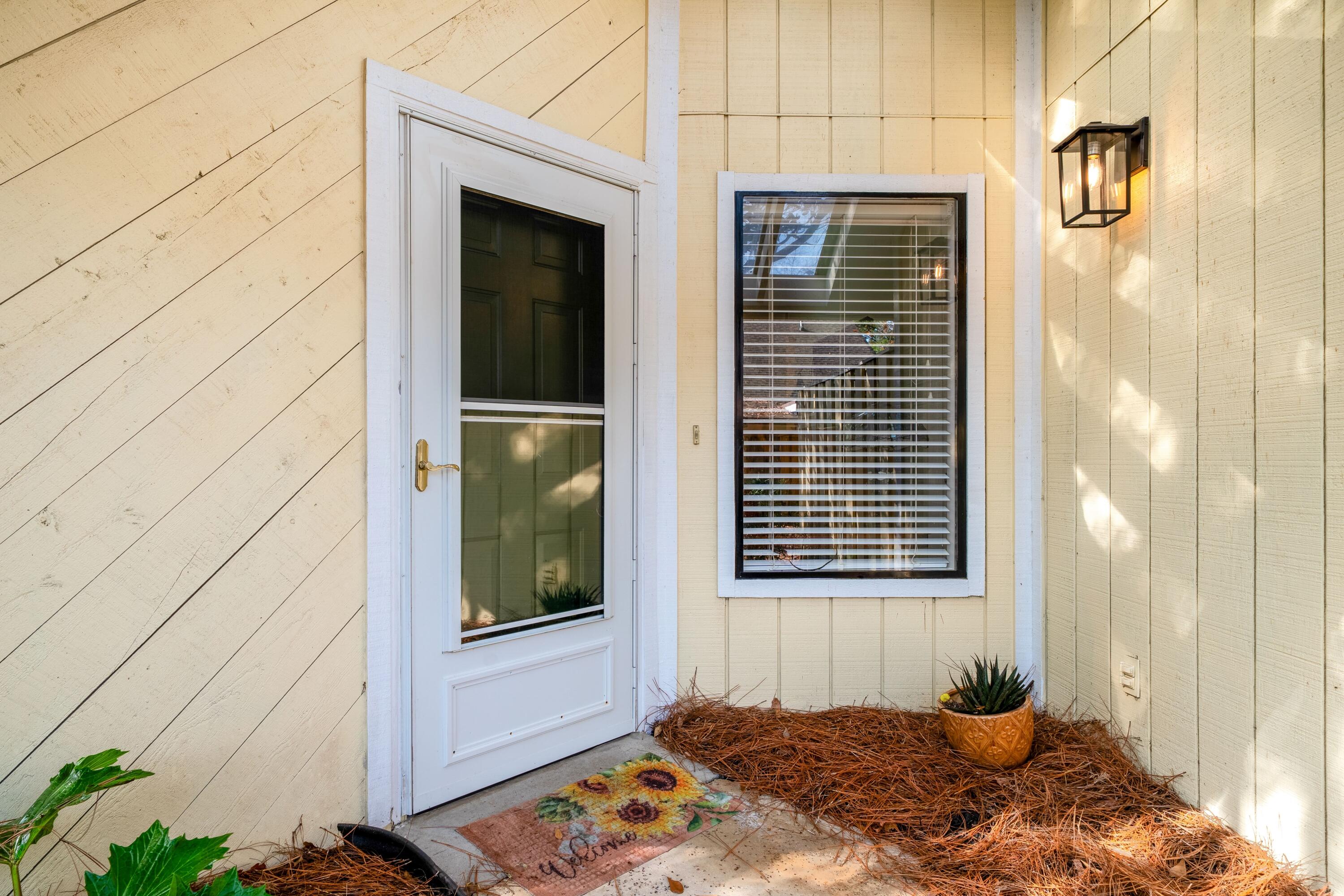 1116 Daffodil Lane Mount Pleasant, SC 29464 - Photo 4 of 39 4