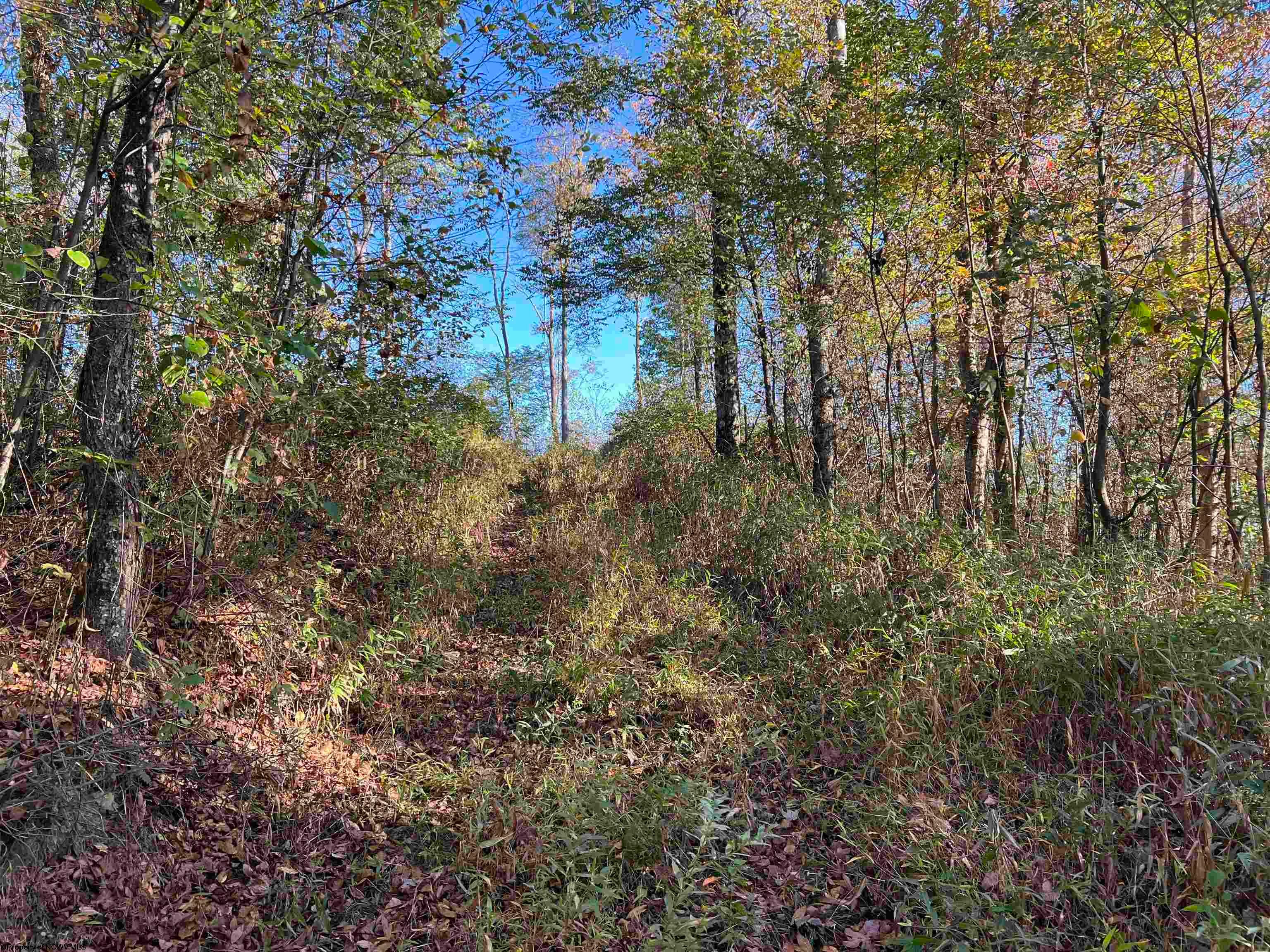 3000 Mount Zion Road Parsons, WV 26287 - Photo 20 of 21 Gallery Image 20