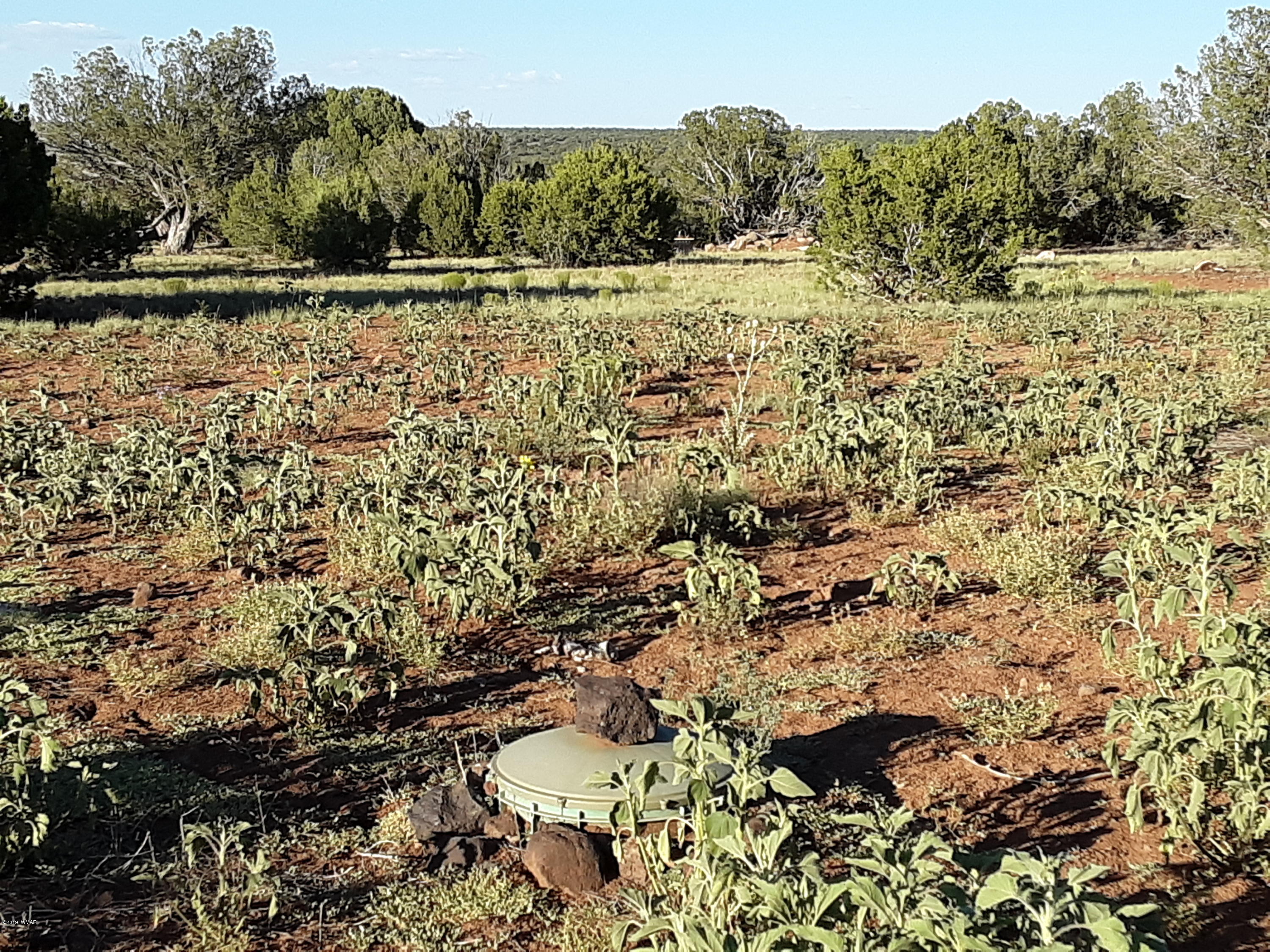 8182 Well Road Show Low, AZ 85901 - Photo 13 of 22