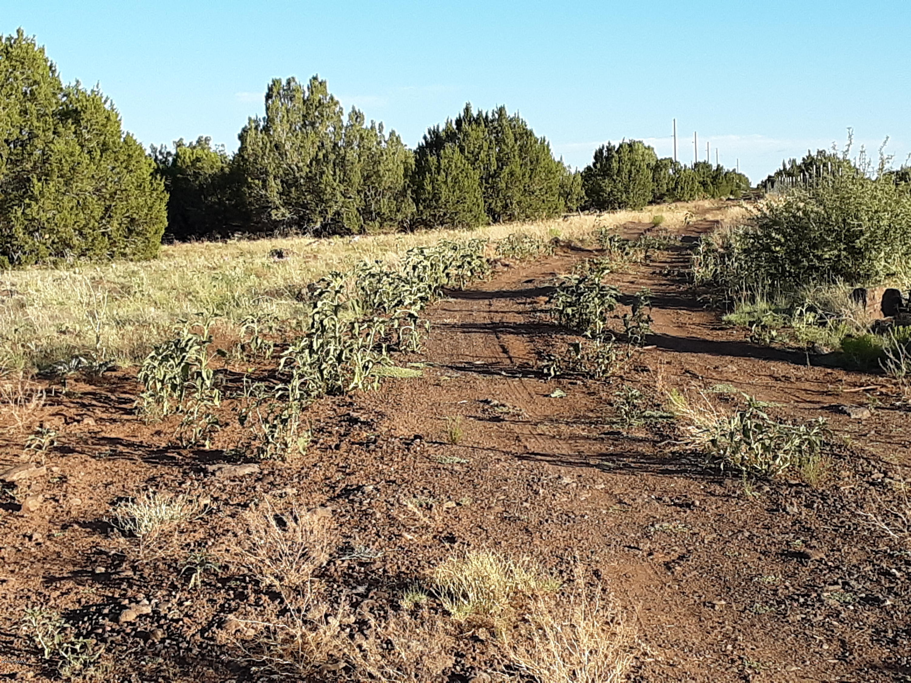 8182 Well Road Show Low, AZ 85901 - Photo 19 of 22
