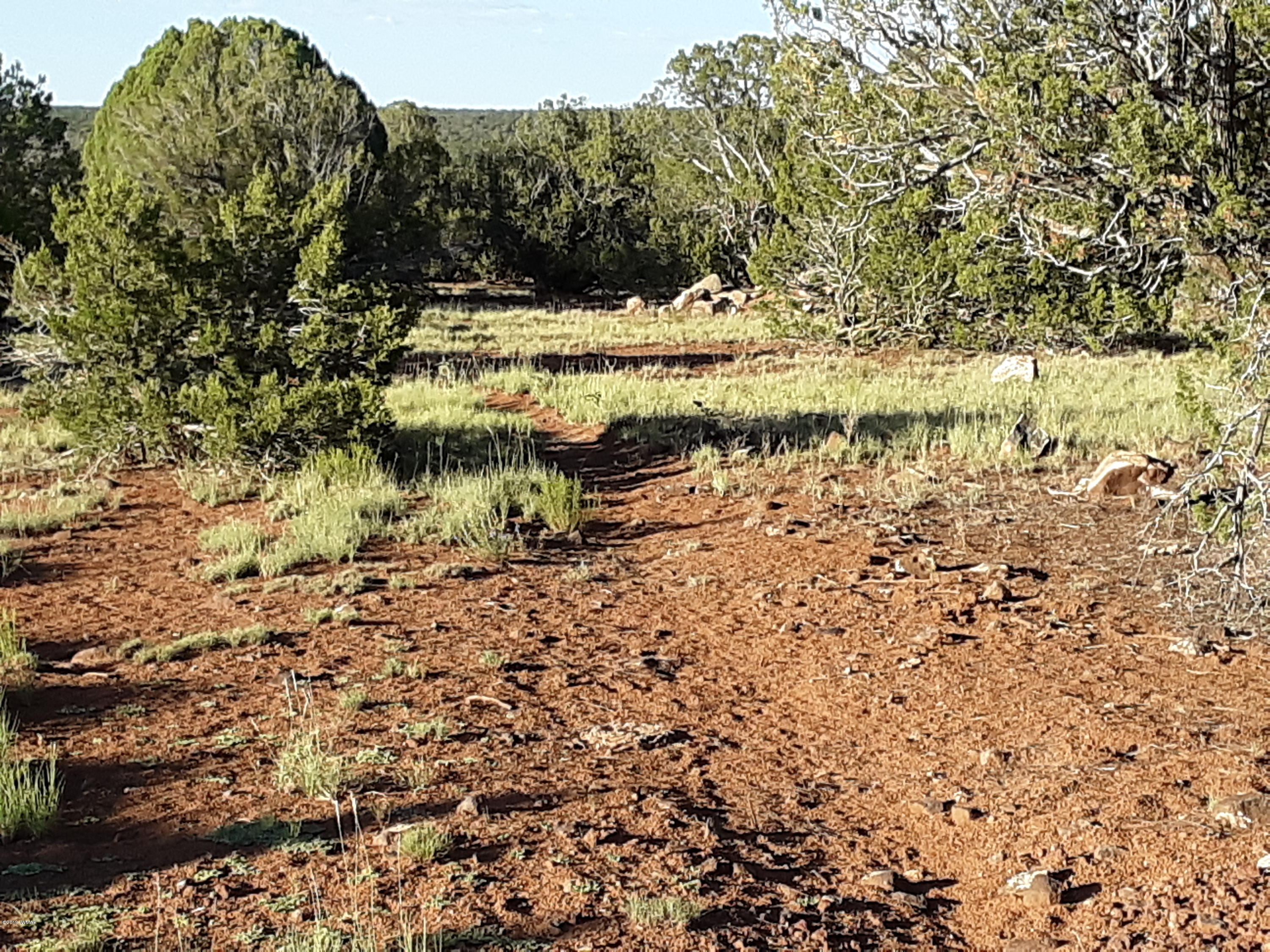 8182 Well Road Show Low, AZ 85901 - Photo 20 of 22