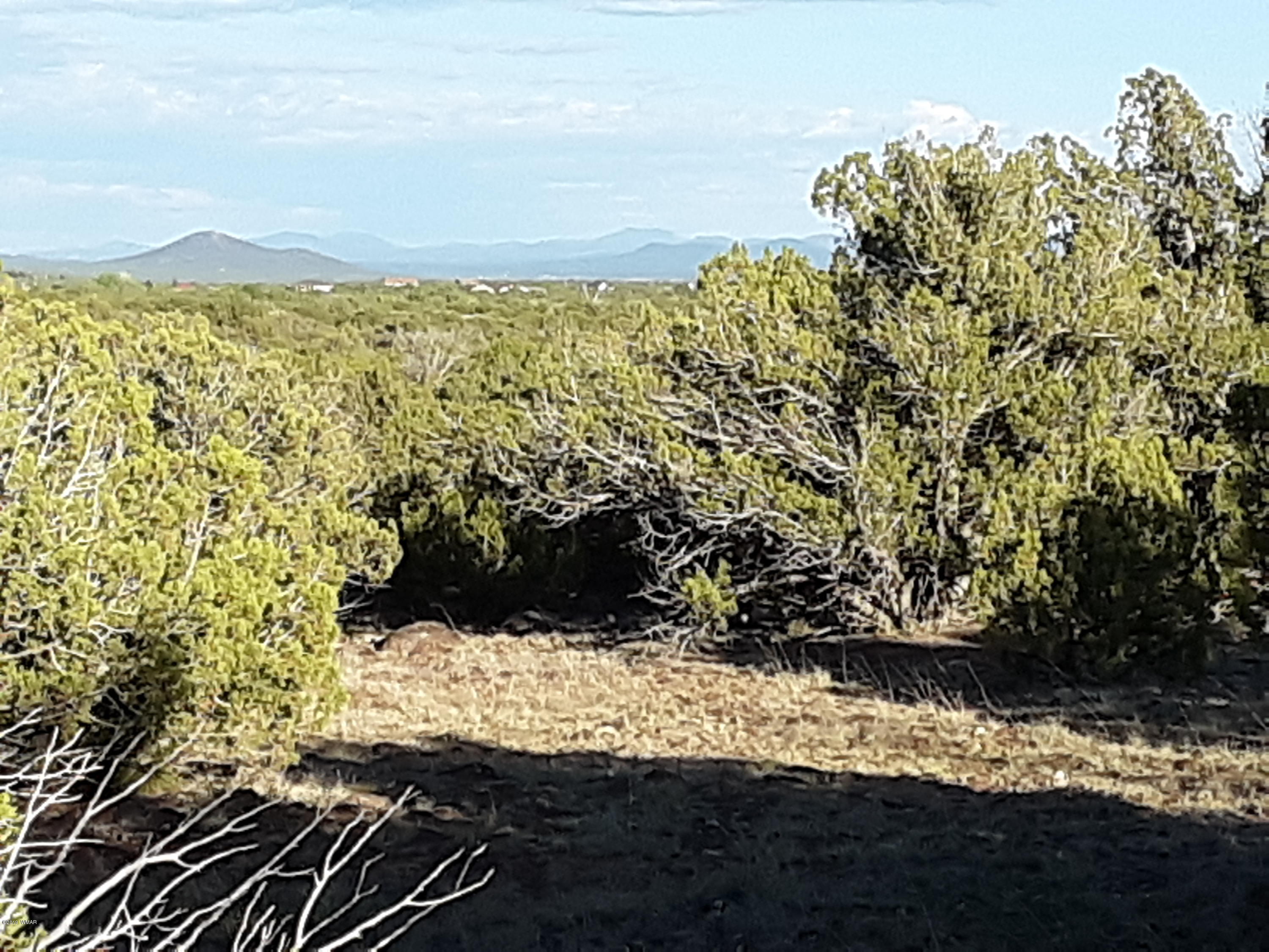 8182 Well Road Show Low, AZ 85901 - Photo 2 of 22