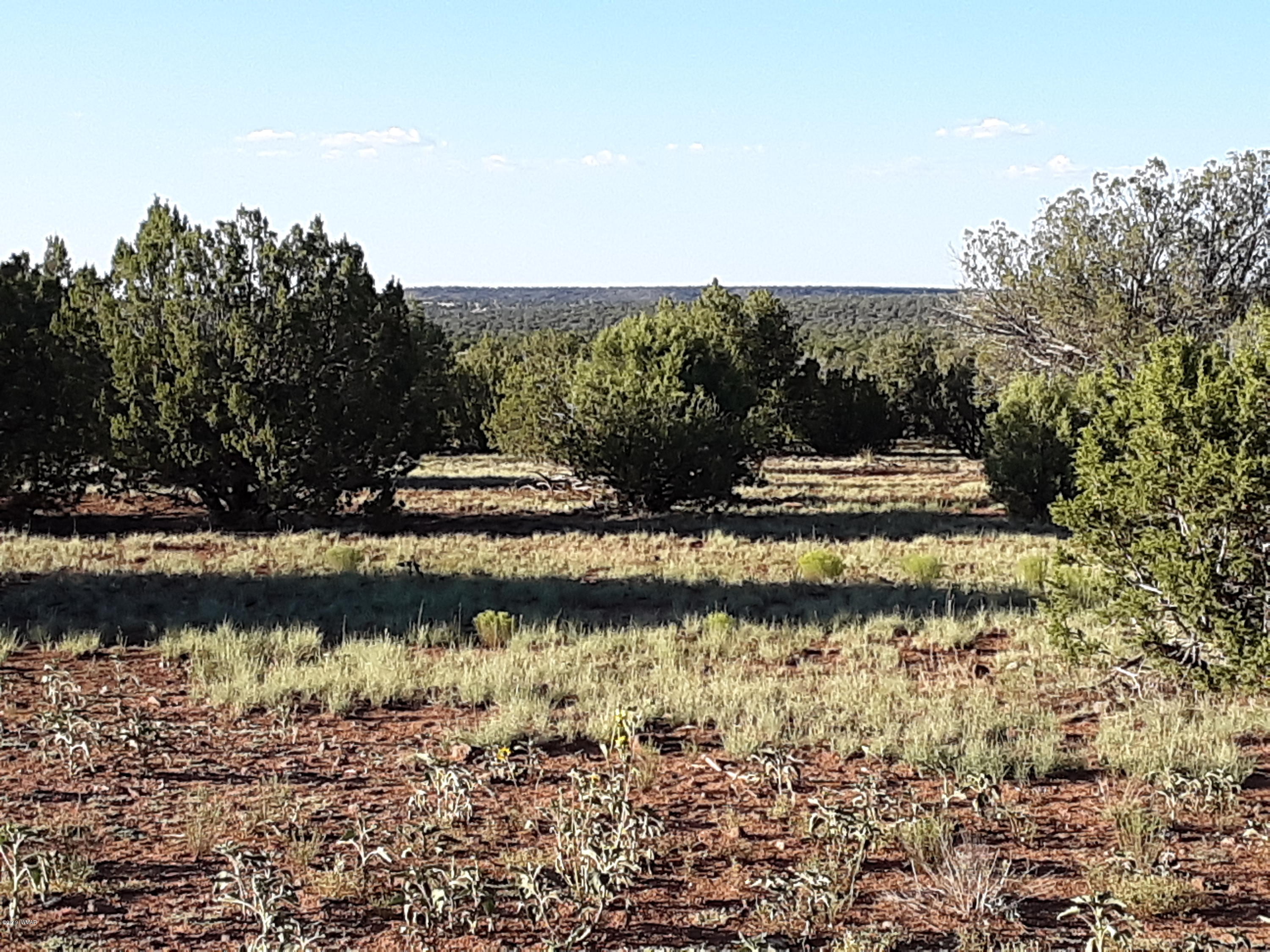 8182 Well Road Show Low, AZ 85901 - Photo 21 of 22