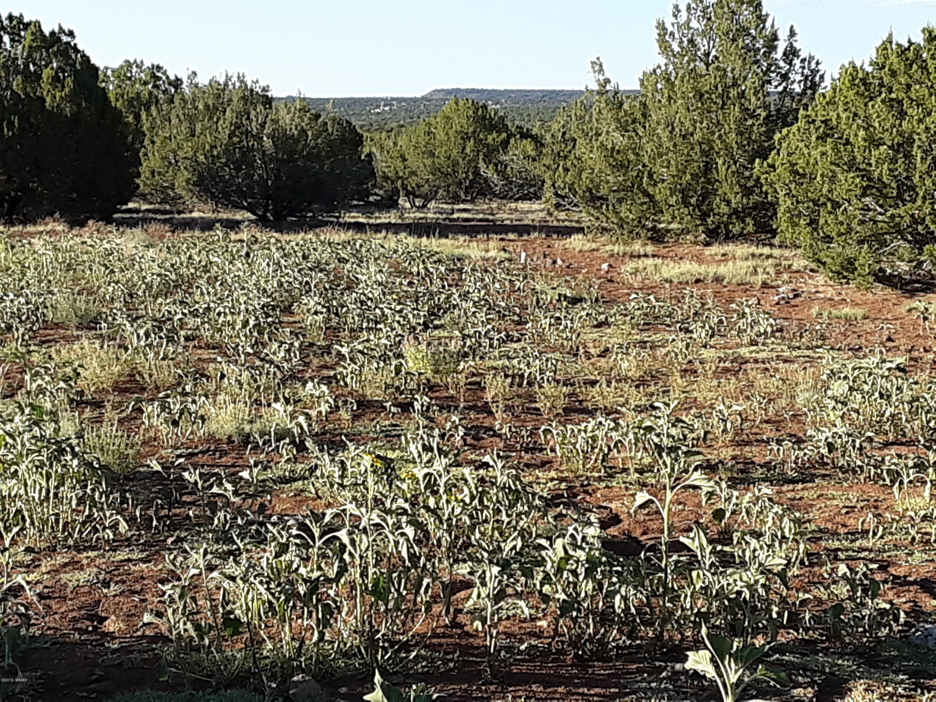 8182 Well Road Show Low, AZ 85901 - Photo 22 of 22