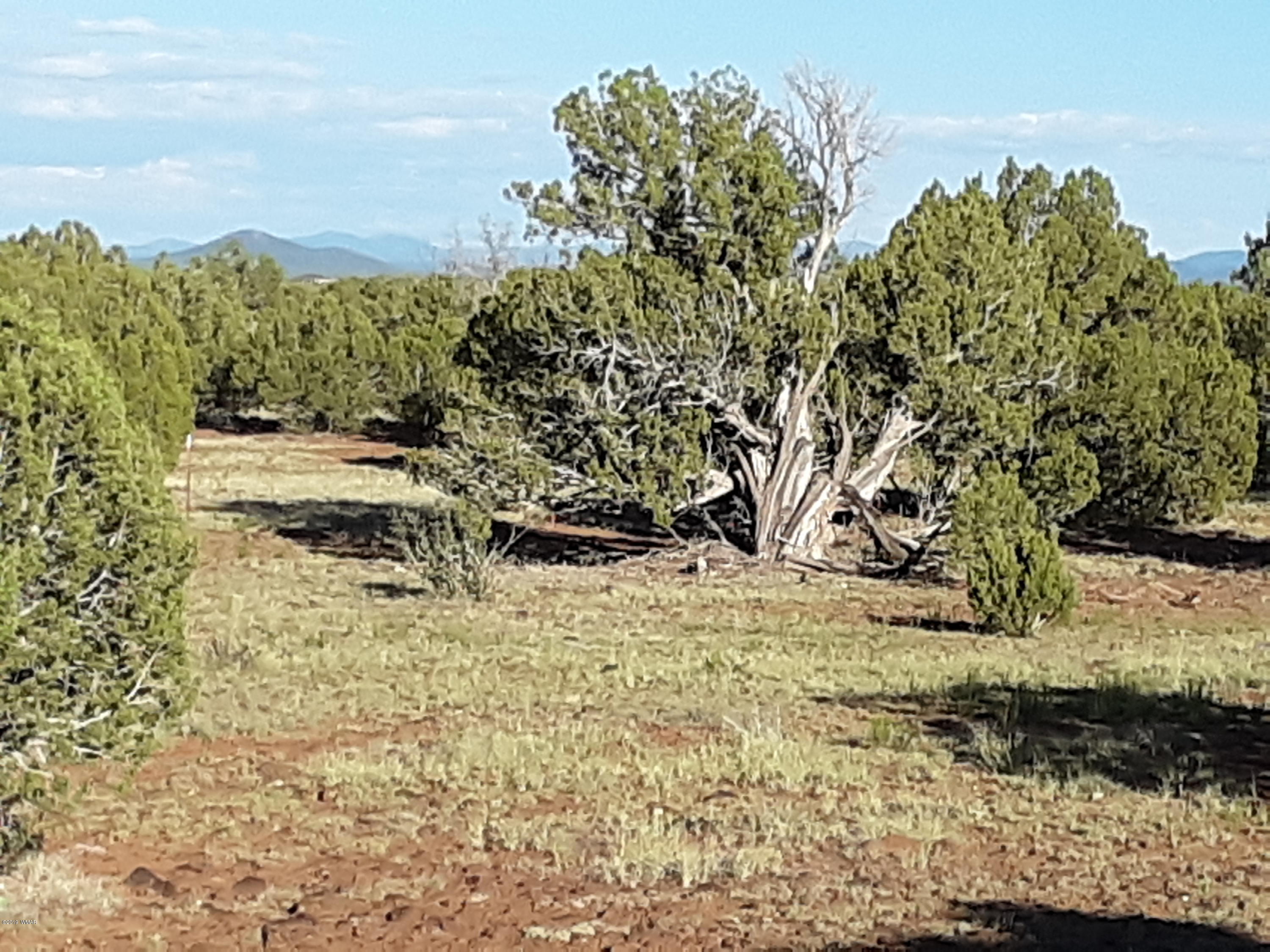 8182 Well Road Show Low, AZ 85901 - Photo 3 of 22