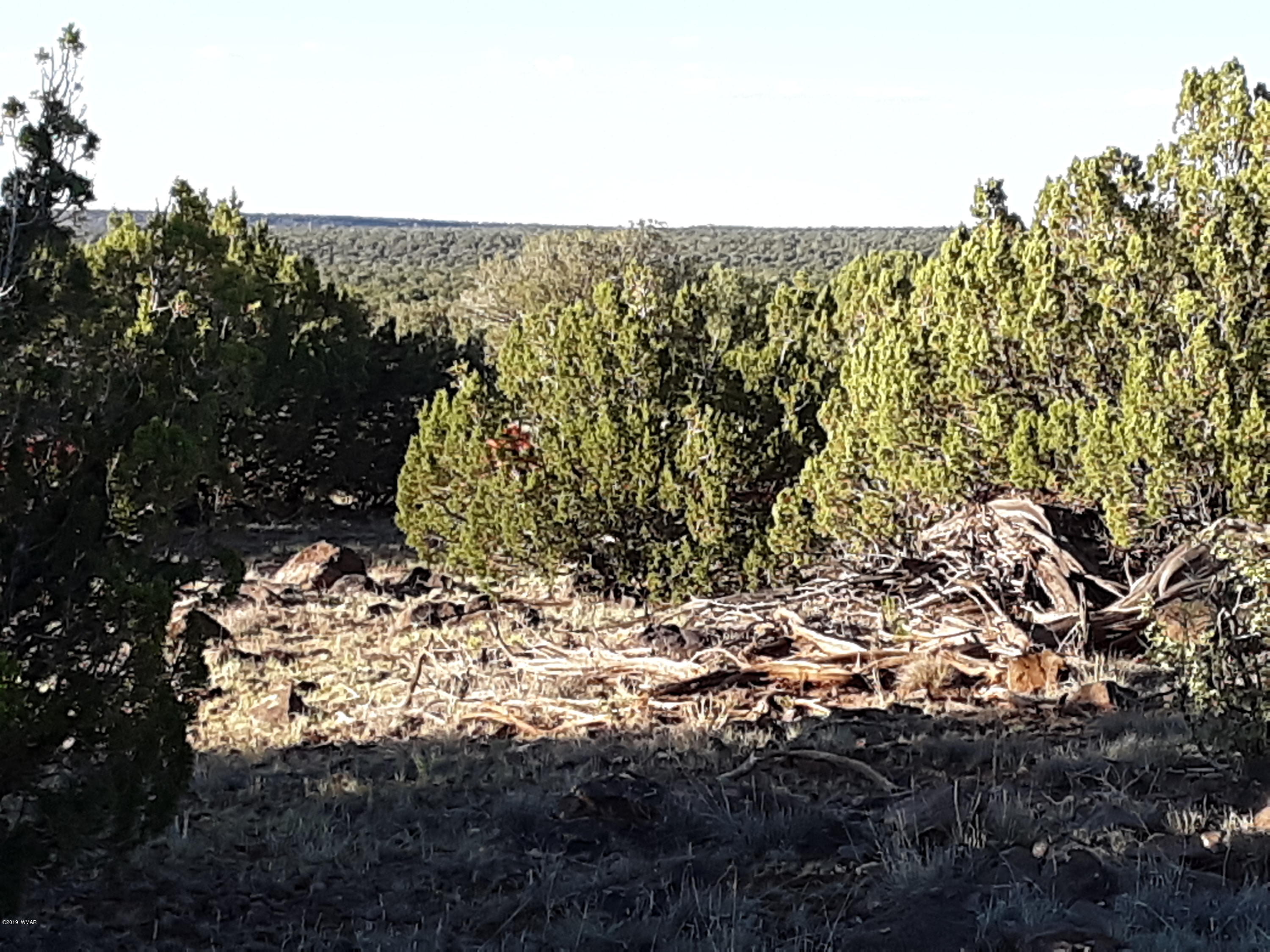 8182 Well Road Show Low, AZ 85901 - Photo 5 of 22