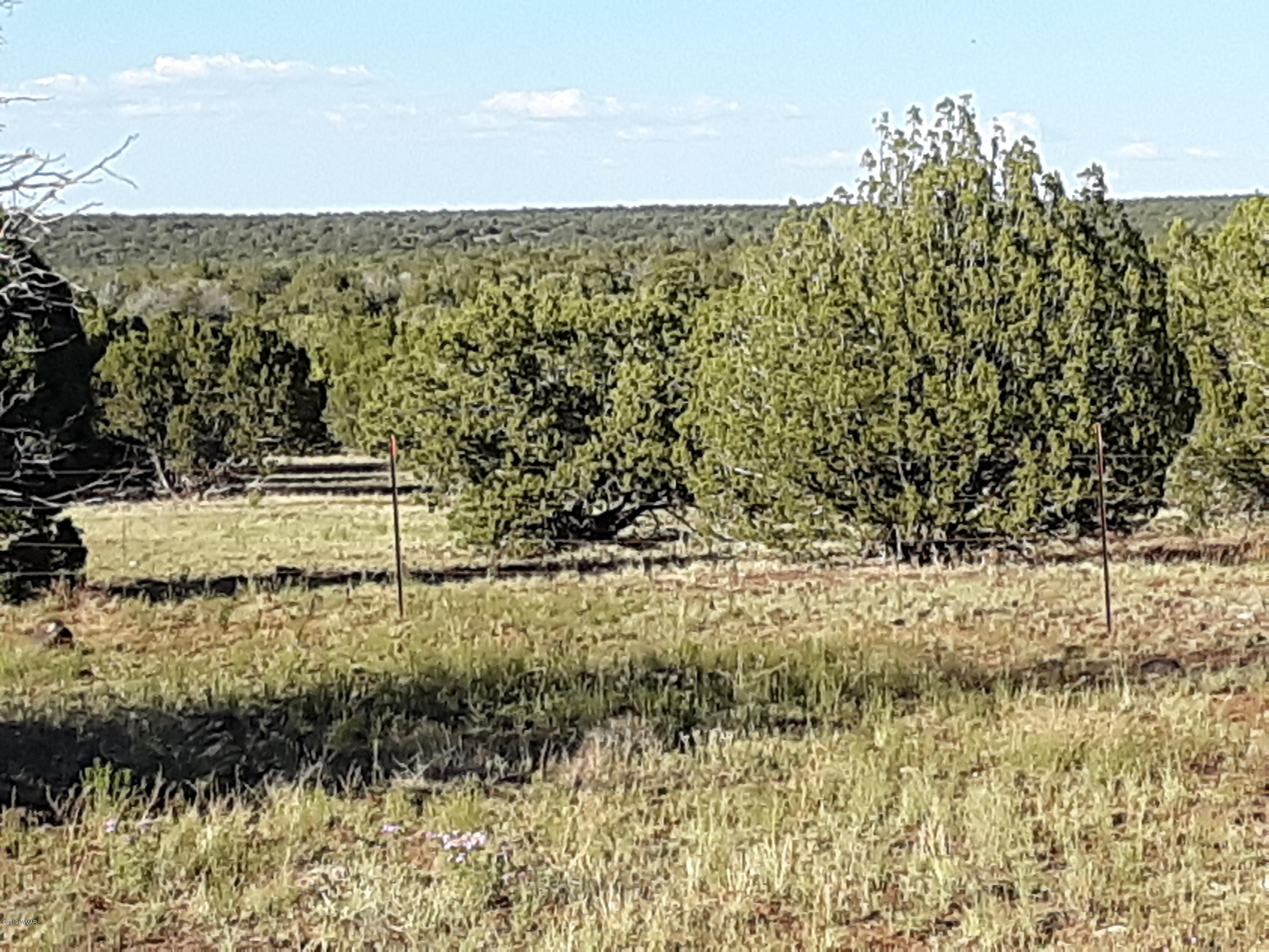 8182 Well Road Show Low, AZ 85901 - Photo 7 of 22