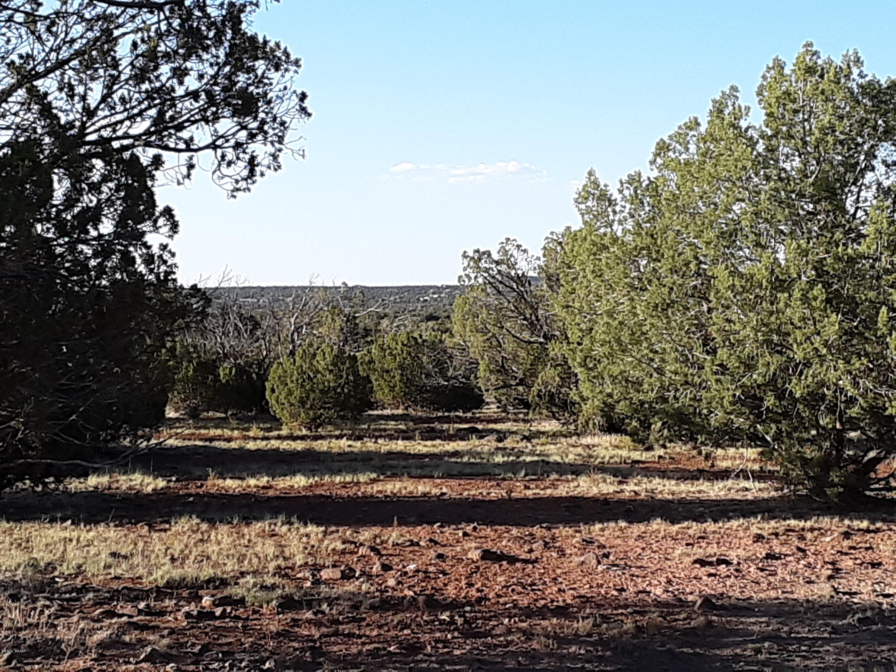 8182 Well Road Show Low, AZ 85901 - Photo 8 of 22