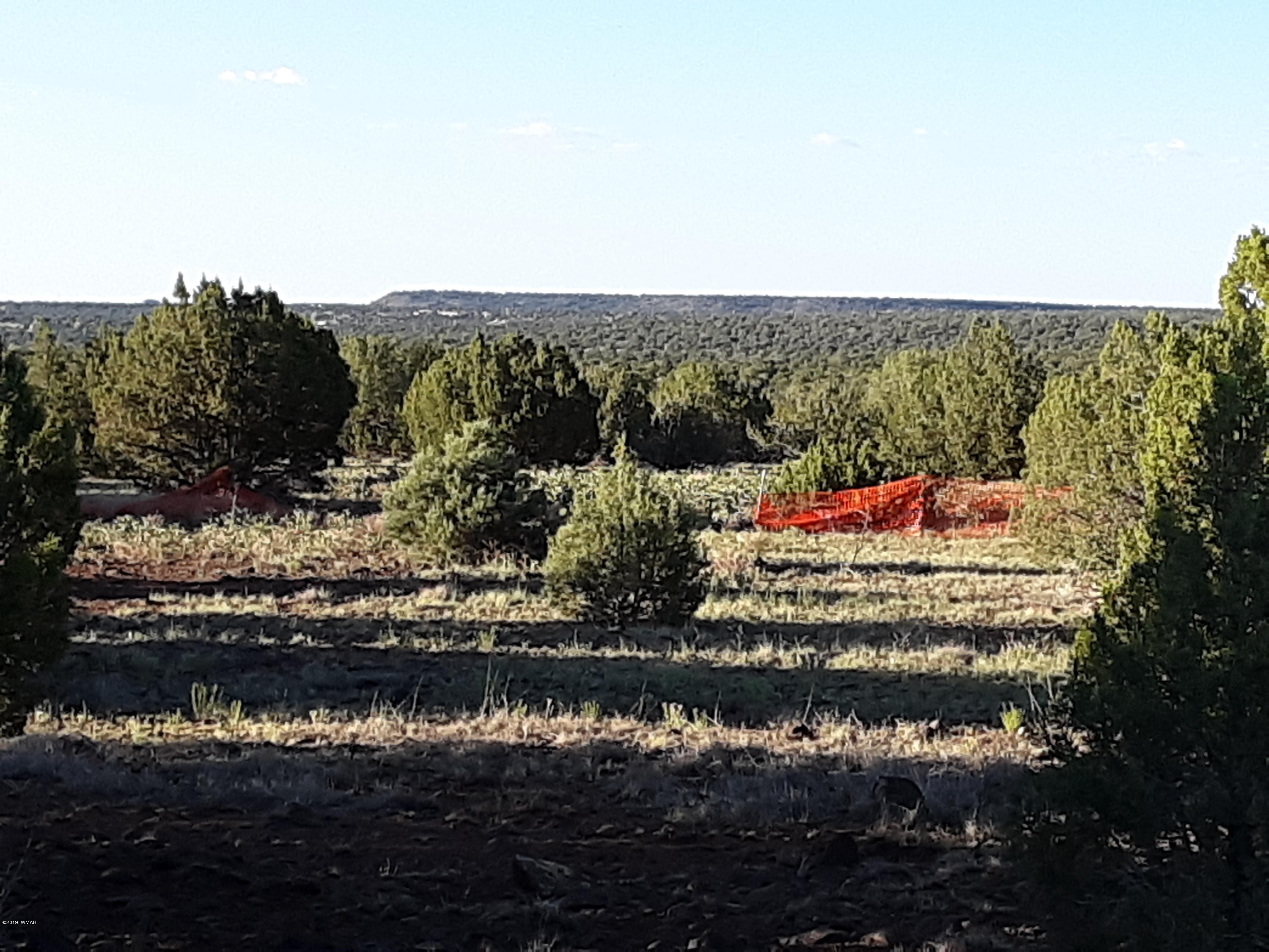 8182 Well Road Show Low, AZ 85901 - Photo 9 of 22