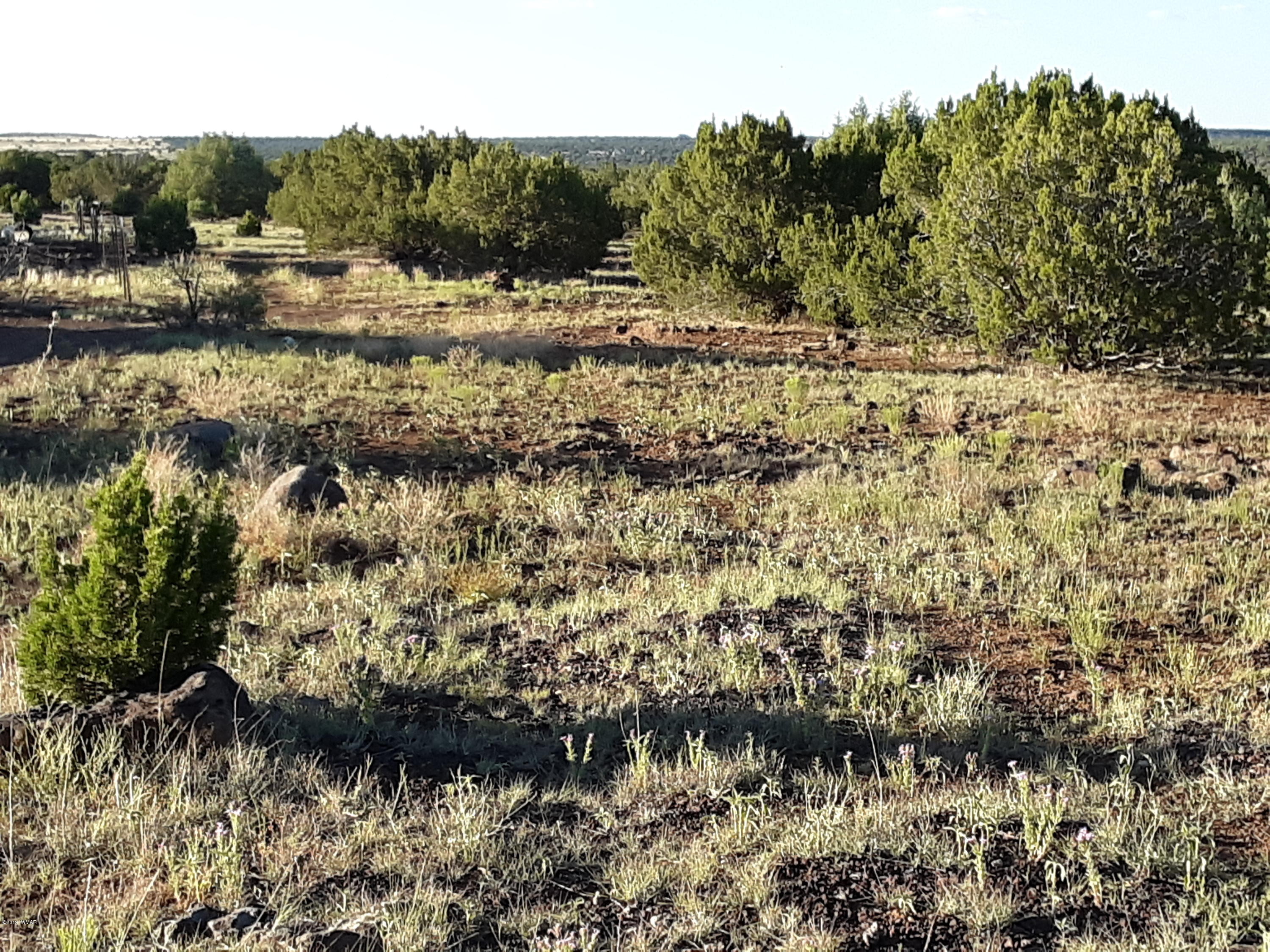 8182 Well Road Show Low, AZ 85901 - Photo 10 of 22