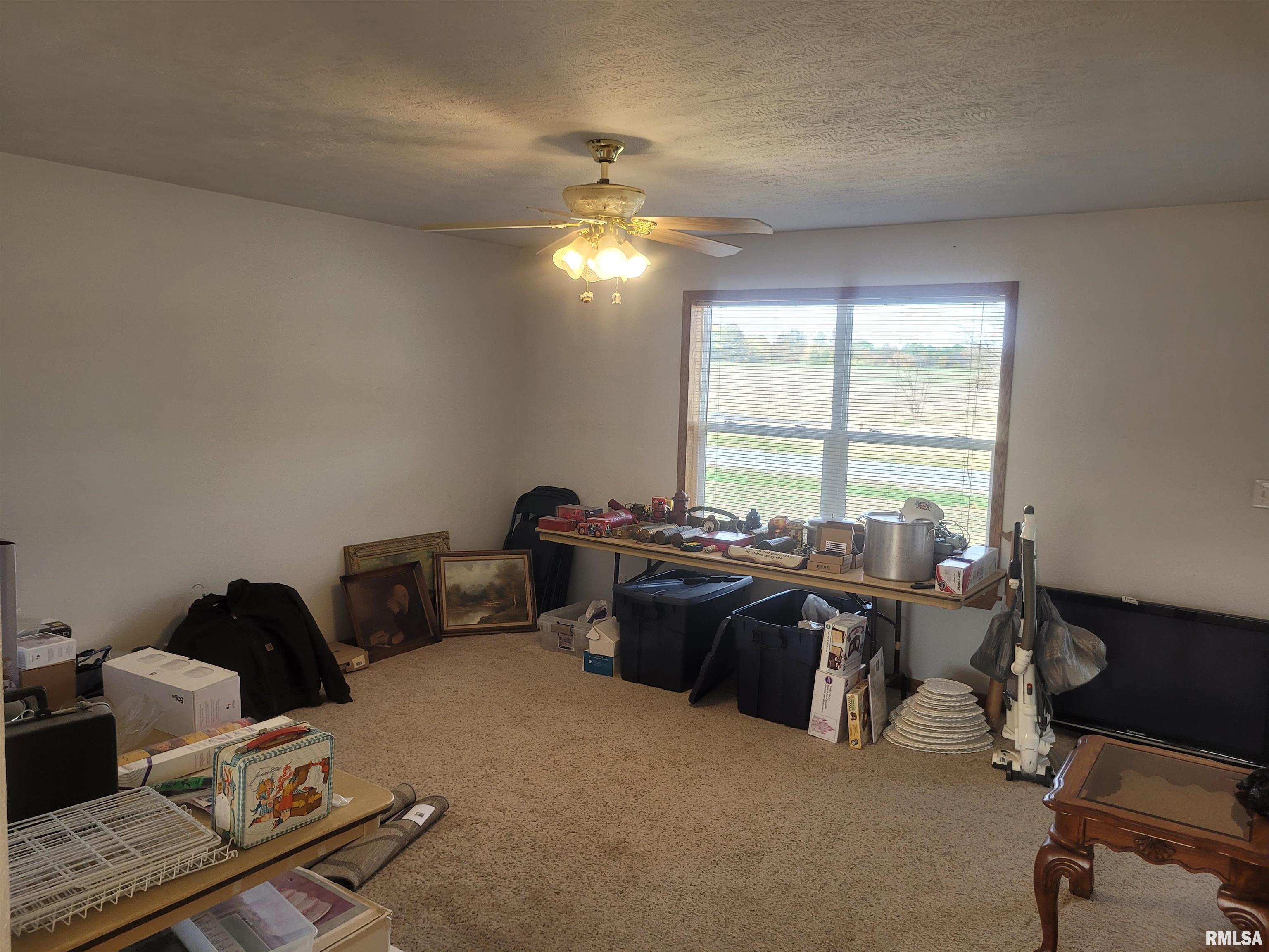 103 East Highline Road Woodlawn, IL 62898 - Photo 14 of 36