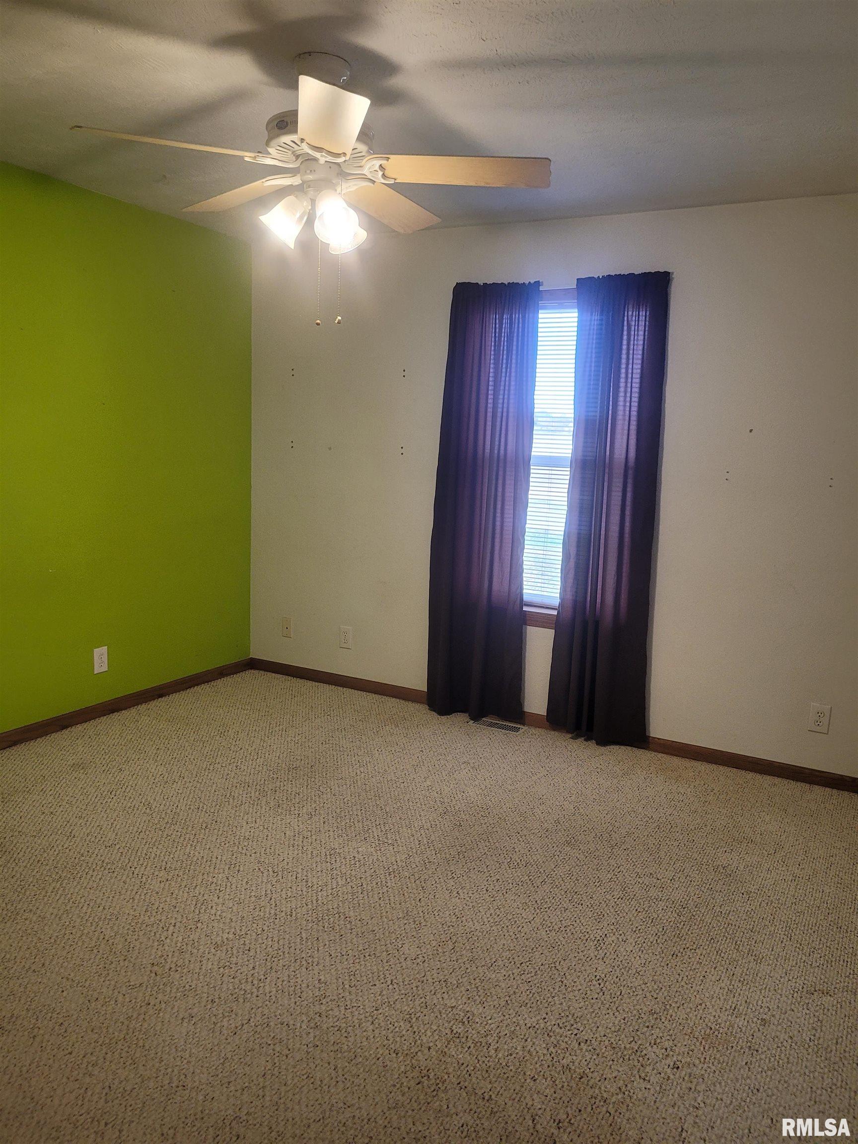 103 East Highline Road Woodlawn, IL 62898 - Photo 19 of 36