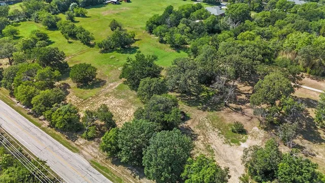 a view of a garden with a pathway