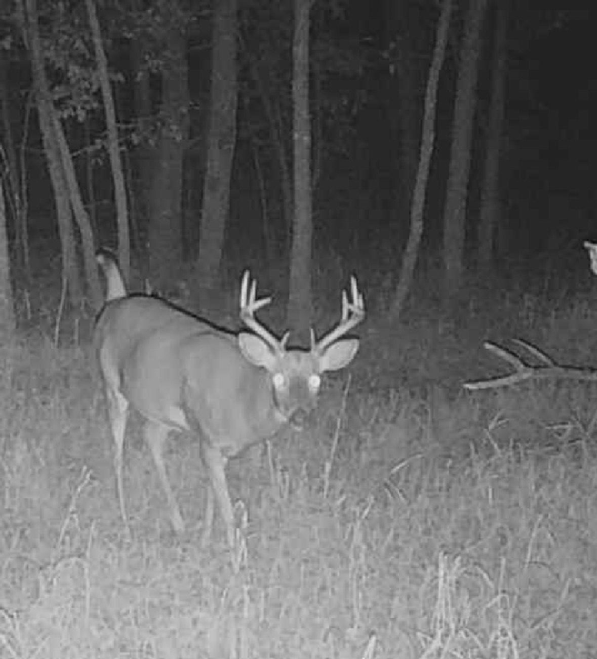 Lot 5 Butternut Road Southeast Brainerd, MN 56401 - Photo 3 of 37