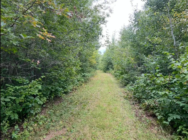 $585,550 | Lot 5 Butternut Road Southeast, Brainerd, MN 56401