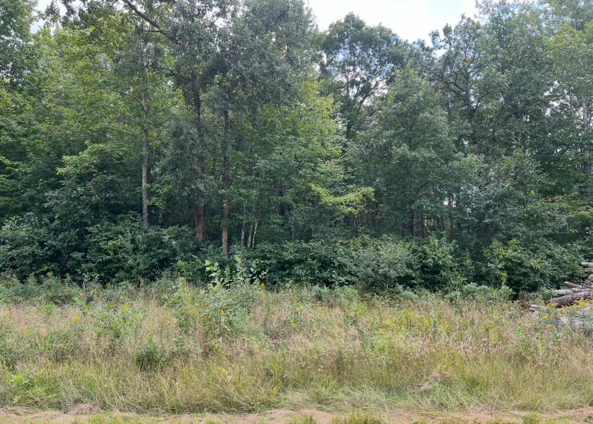 Lot 5 Butternut Road Southeast Brainerd, MN 56401 - Photo 34 of 37