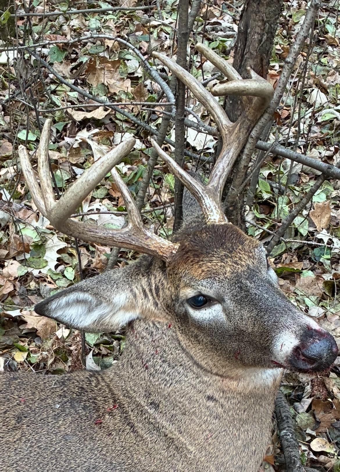 Lot 5 Butternut Road Southeast Brainerd, MN 56401 - Photo 35 of 37