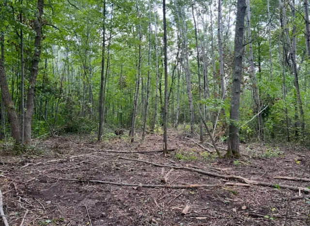 $585,550 | Lot 5 Butternut Road Southeast, Brainerd, MN 56401