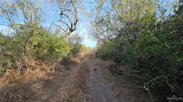 $731,858 | 315 Guajolote Ranch Road, Delmita, TX 78536