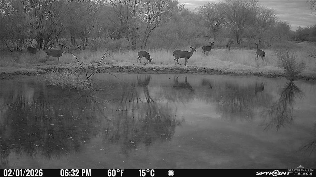 315 Guajolote Ranch Road Delmita, TX 78536 - Photo 14 of 14 a close view of sink and tap