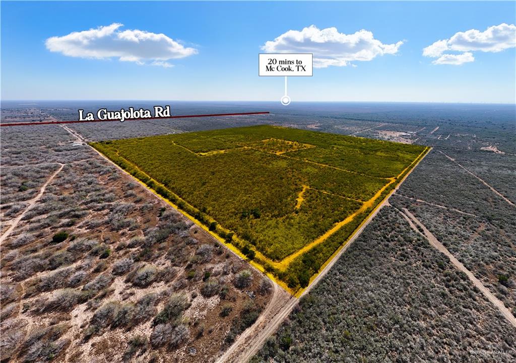 315 Guajolote Ranch Road Delmita, TX 78536 - Photo 3 of 14