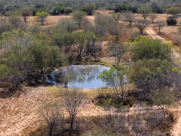 a view of beach and ocean