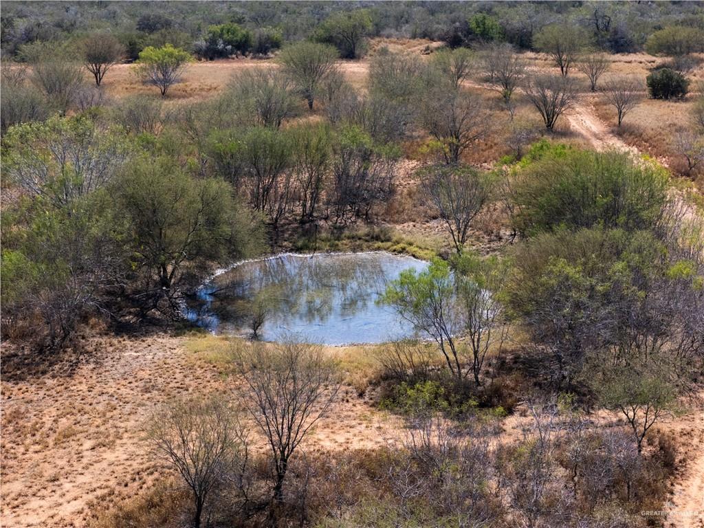 315 Guajolote Ranch Road Delmita, TX 78536 - Photo 4 of 14 a view of a yard with a tree