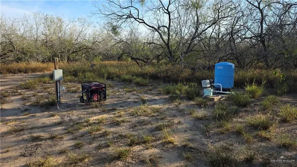 a view of a yard with a tree
