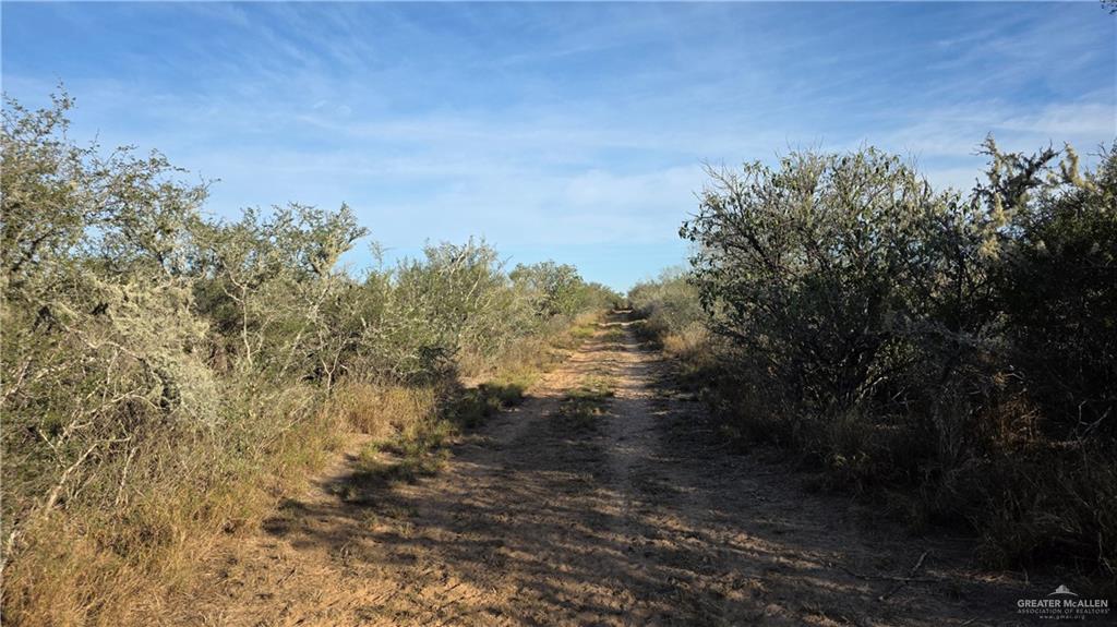 315 Guajolote Ranch Road Delmita, TX 78536 - Photo 8 of 14 a view of a yard with a tree