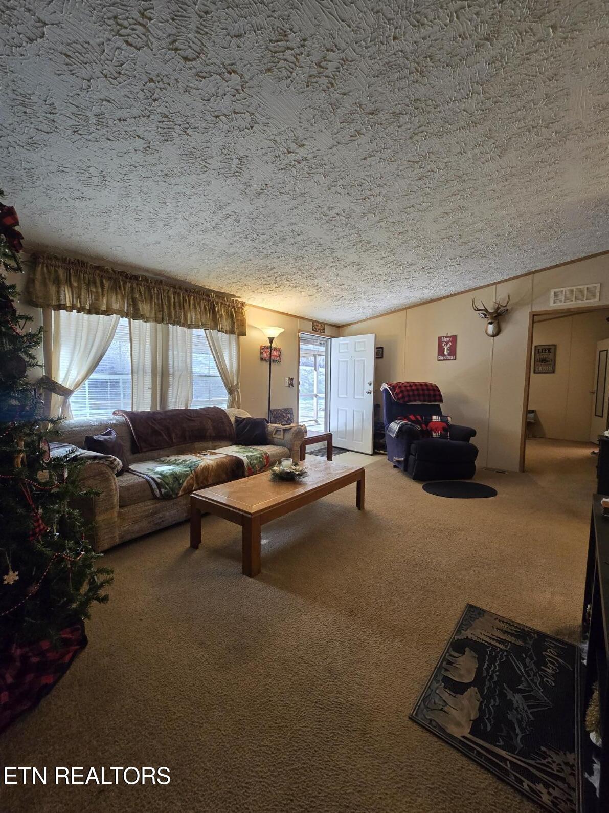 8275 Brimstone Road Robbins, TN 37852 - Photo 32 of 58 20260122_123919