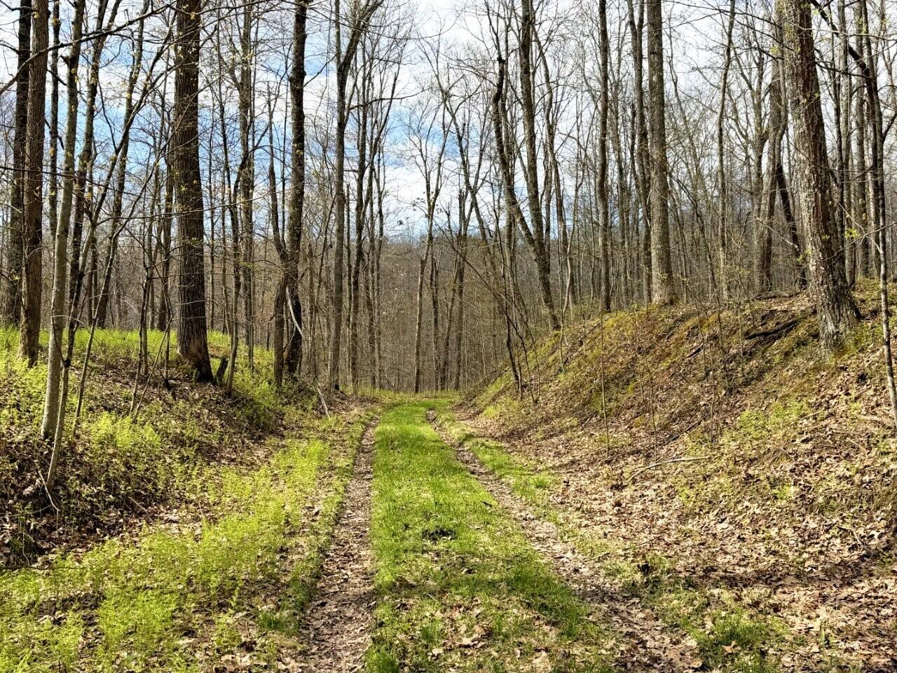 0 Iona Road White Oak, WV 25989 - Photo 21 of 150 Tract-12-IMG_3655