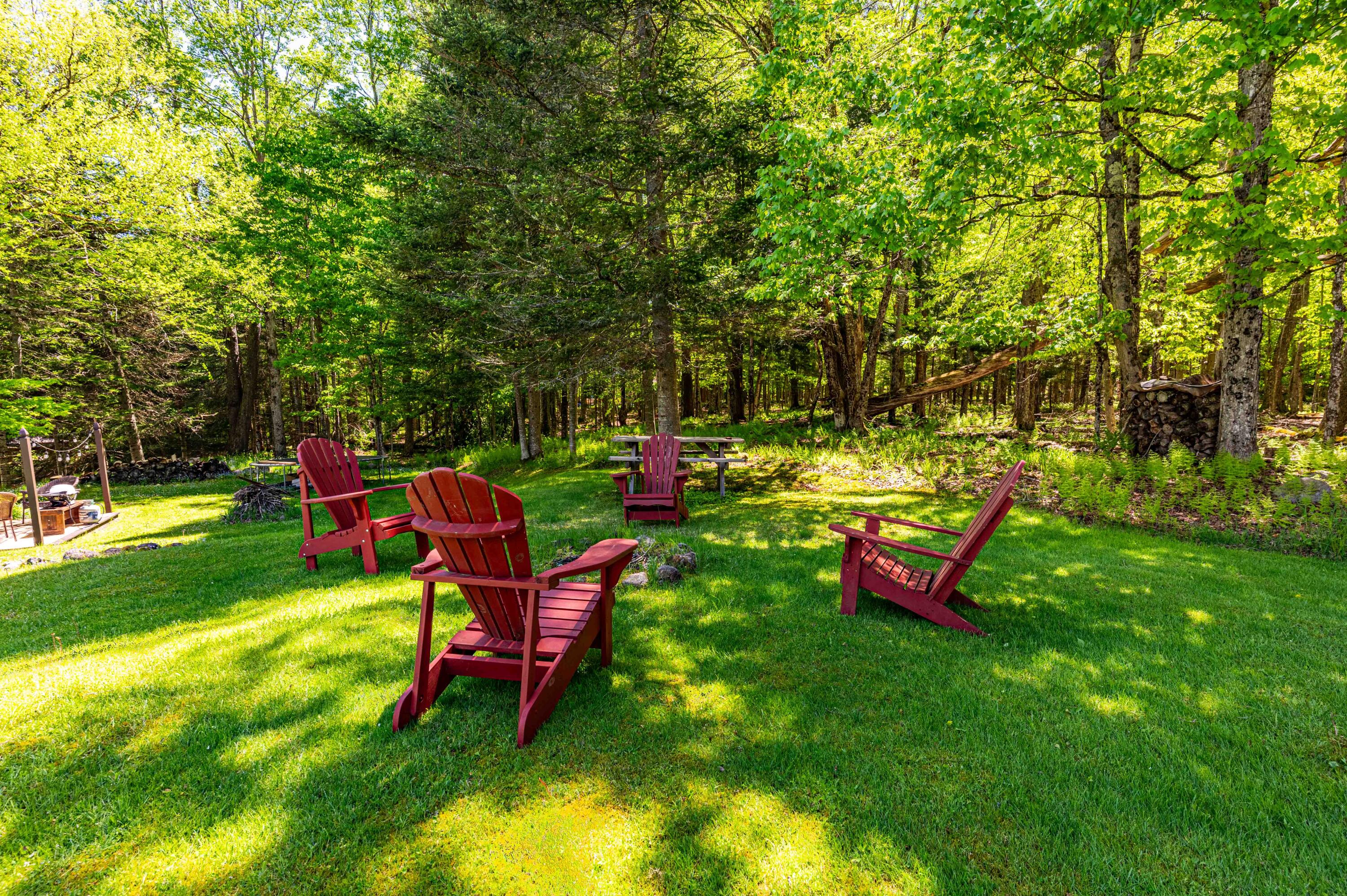 103 Gray Lake Road Old Forge, NY 13420 - Photo 5 of 32 Fire Pit Area Looking at the Woods