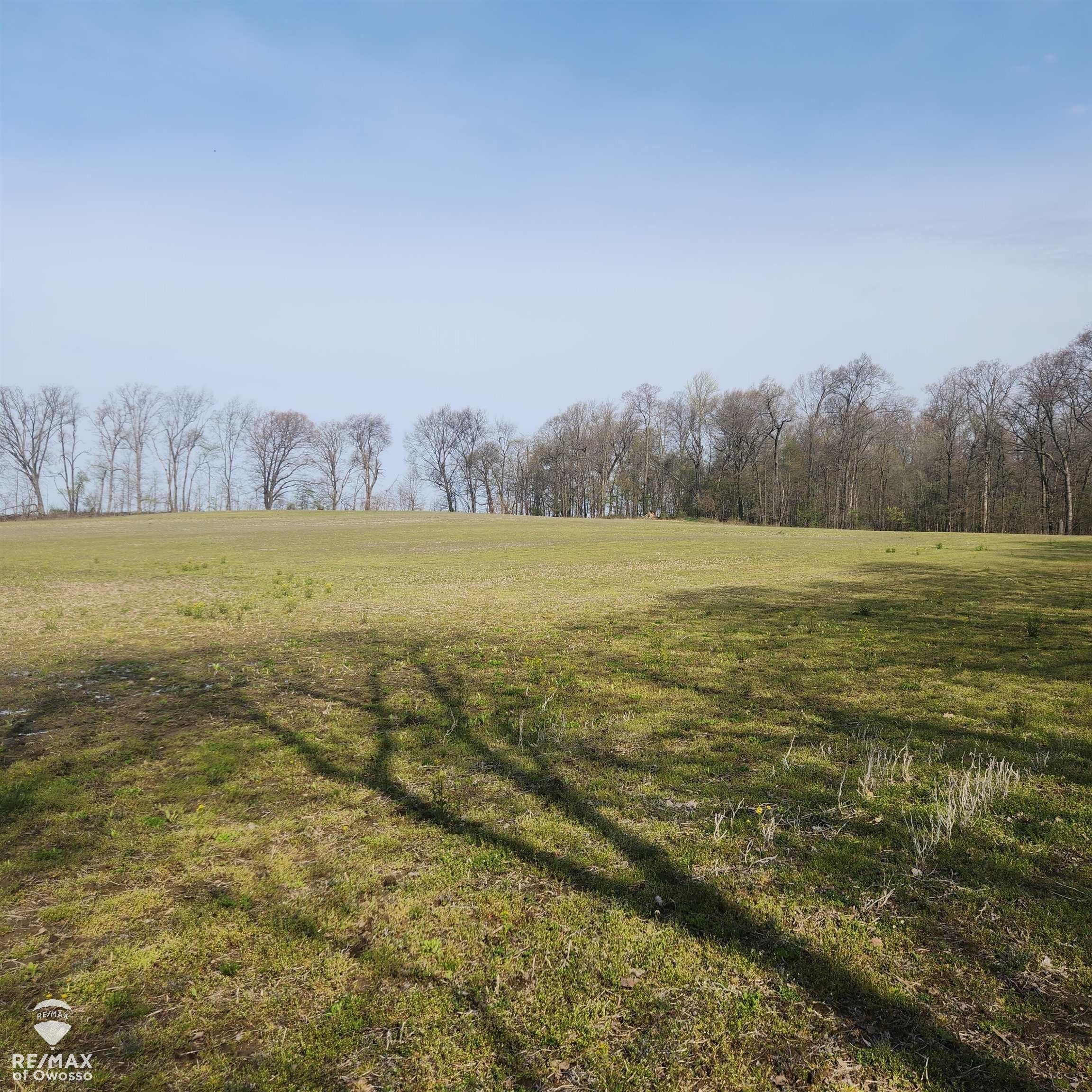 0 Rolston Road Gaines, MI 48436 - Photo 1 of 12