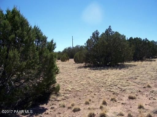 25675 Granada Road Seligman, AZ 86337 - Photo 4 of 5 Lucas Lot 168 Bcce (2)