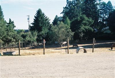 1533 Laguna Road Santa Rosa, CA 95401 - Photo 9 of 11 View of parking area and middle pasture